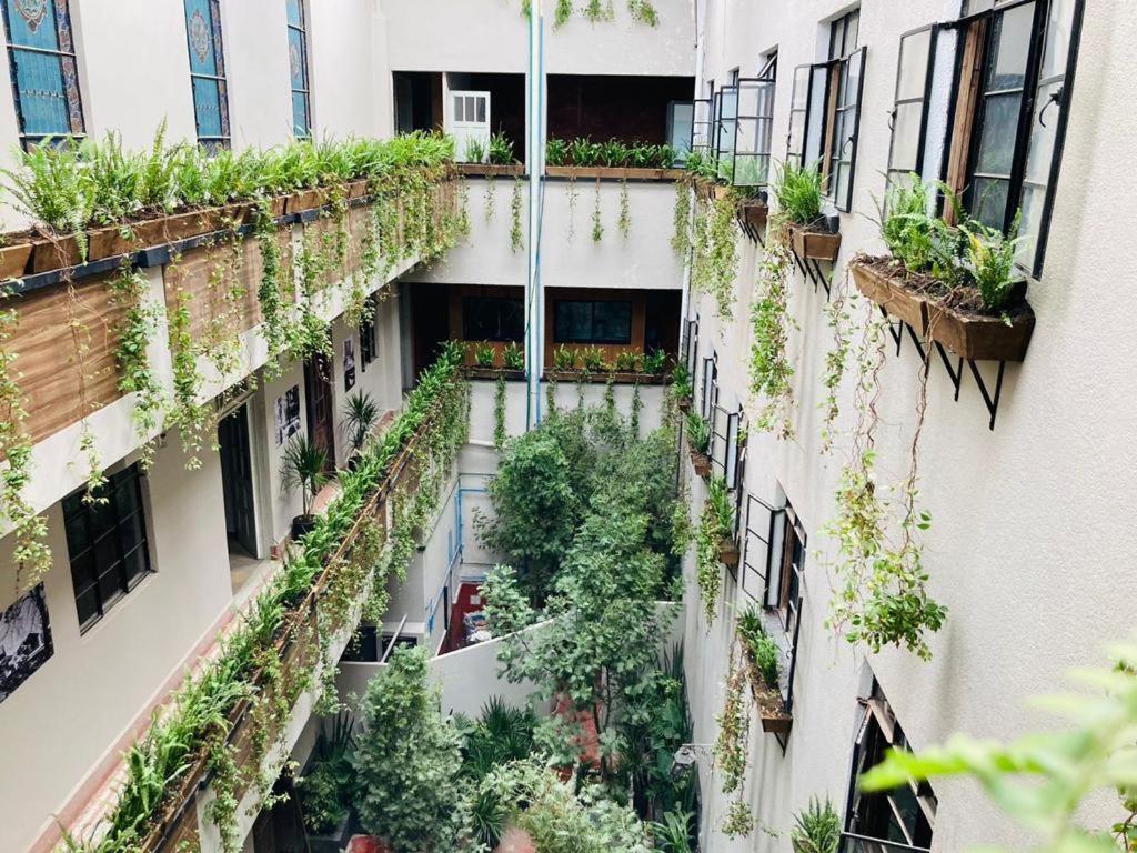 Frontera 49 Roma Norte Hostal Mexikóváros Kültér fotó