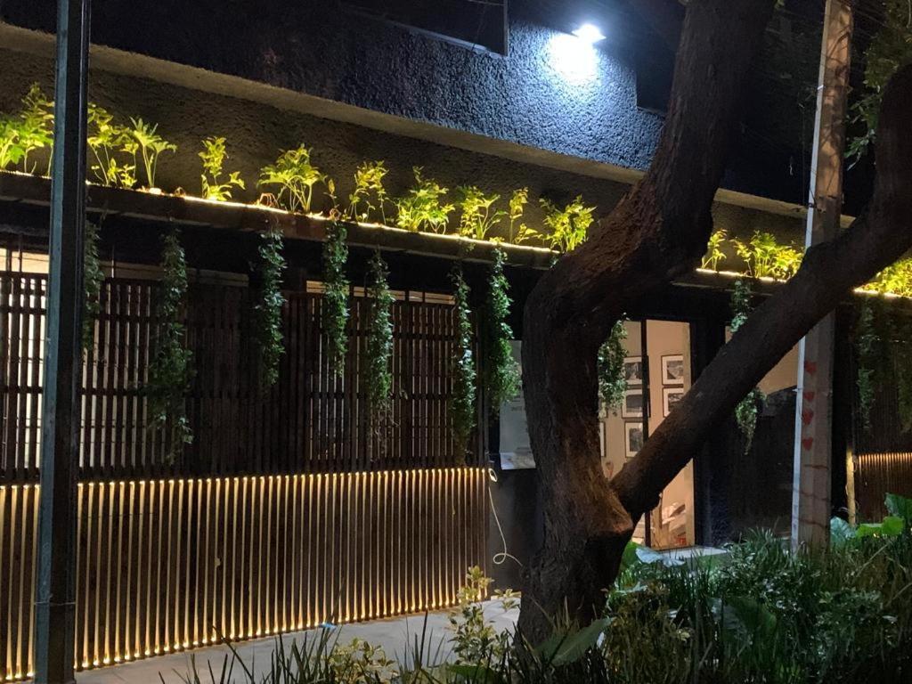Frontera 49 Roma Norte Hostal Mexikóváros Kültér fotó