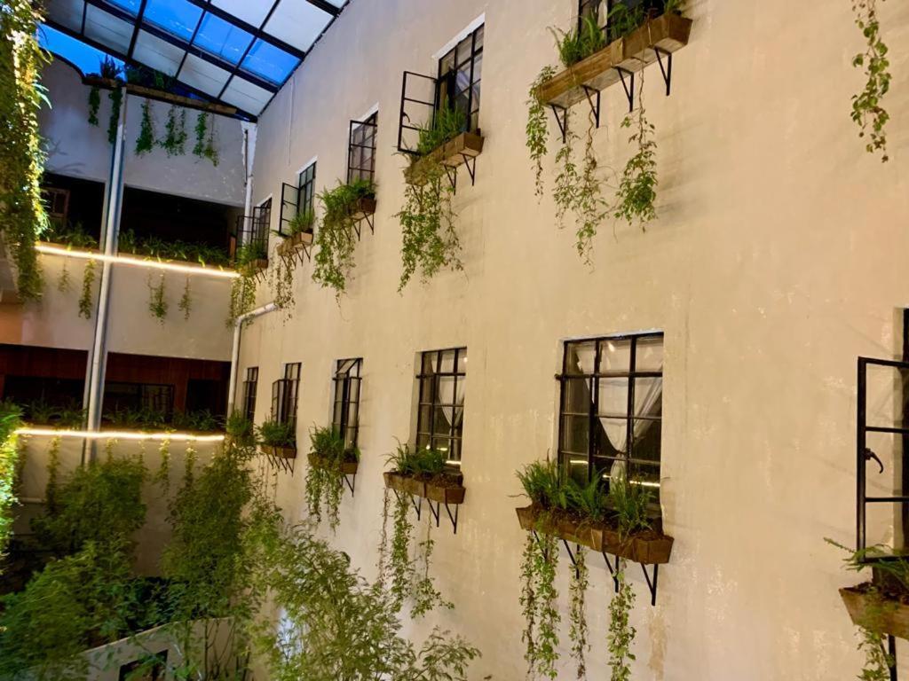 Frontera 49 Roma Norte Hostal Mexikóváros Kültér fotó