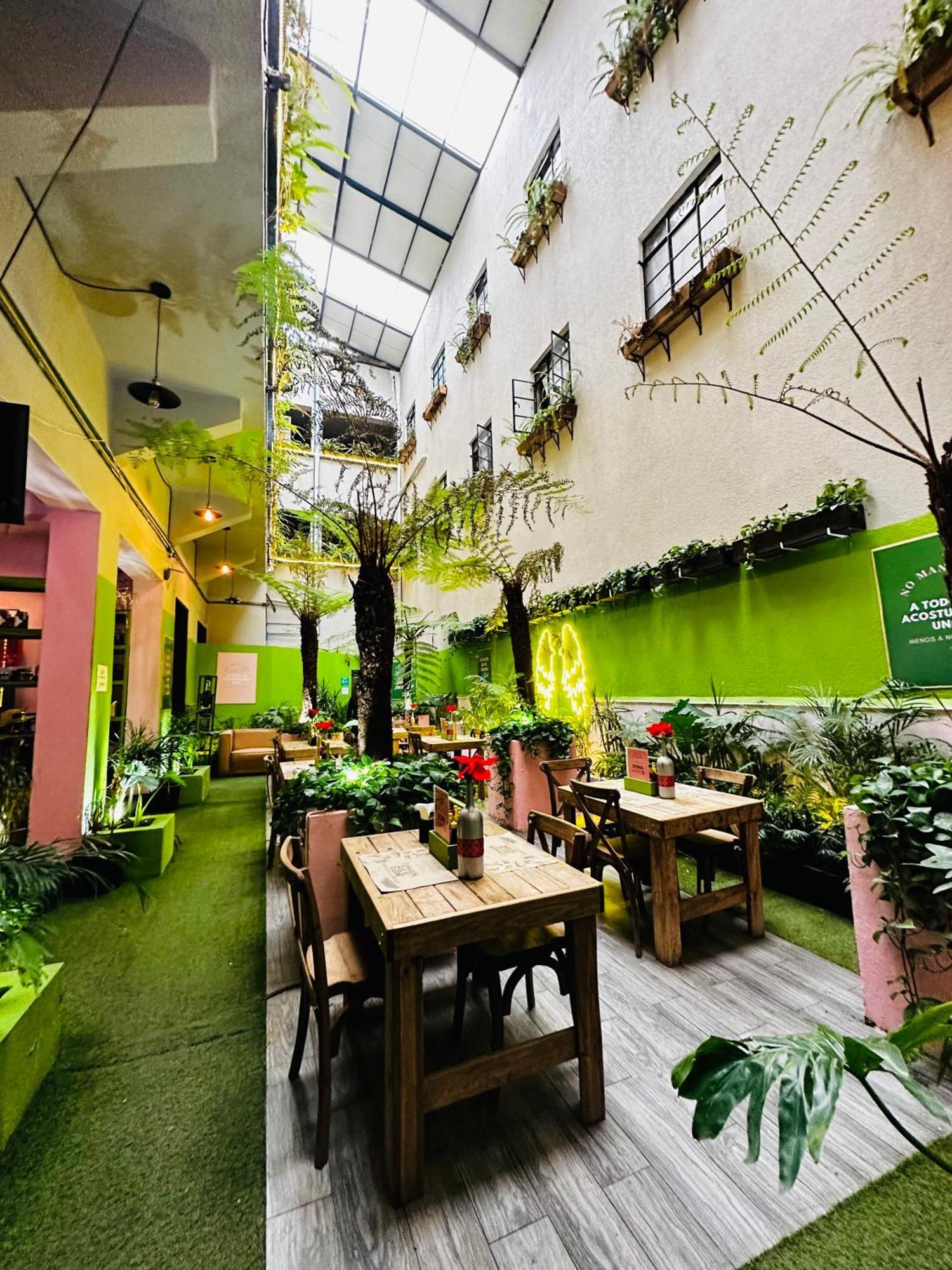 Frontera 49 Roma Norte Hostal Mexikóváros Kültér fotó