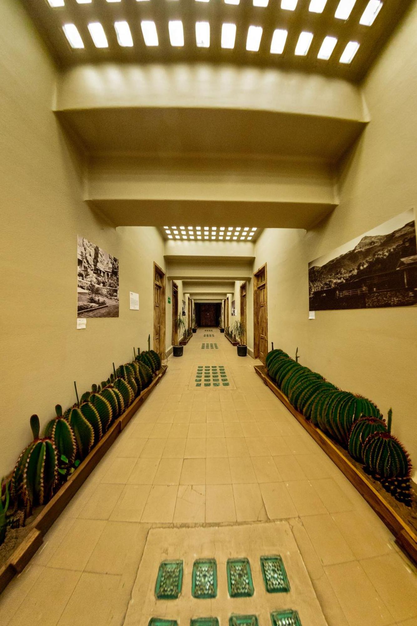 Frontera 49 Roma Norte Hostal Mexikóváros Kültér fotó